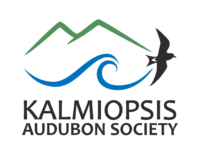 kalmiopsis-logo.png