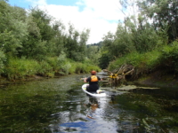 Rogue River slough