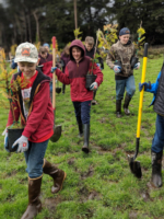 Hiking with trees and shovels